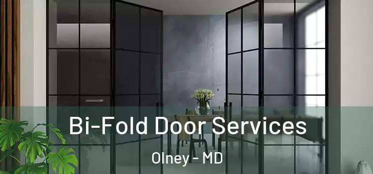 Bi-Fold Door Services Olney - MD
