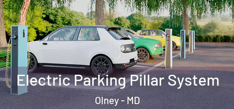 Electric Parking Pillar System Olney - MD