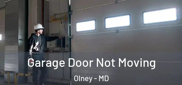  Garage Door Not Moving Olney - MD