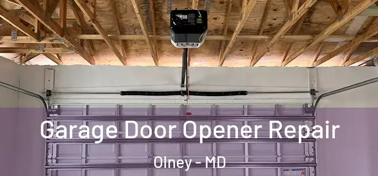  Garage Door Opener Repair Olney - MD