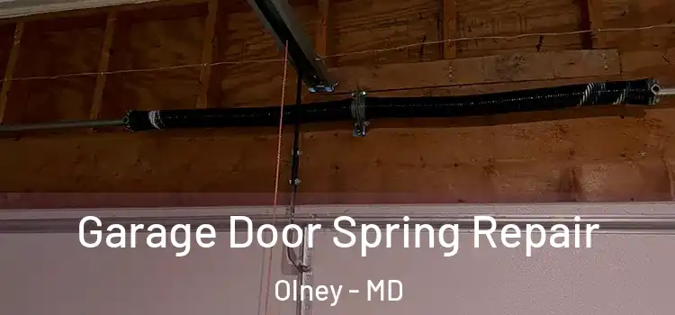  Garage Door Spring Repair Olney - MD