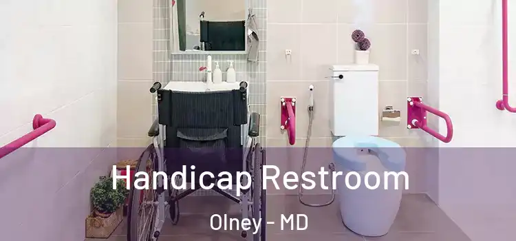 Handicap Restroom Olney - MD