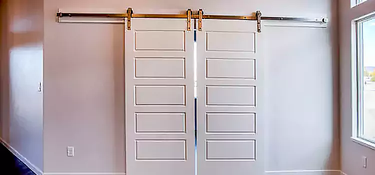 Glass Barn Door with Installation Hardware Kit Olney