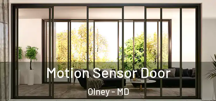 Motion Sensor Door Olney - MD