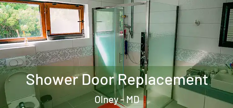 Shower Door Replacement Olney - MD